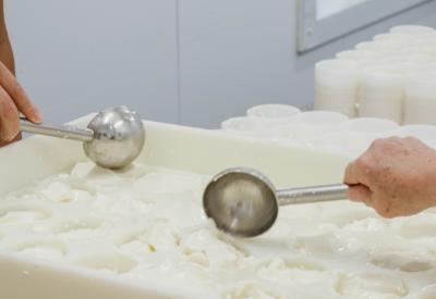 The making of our cheeses