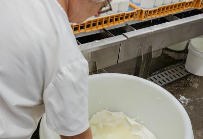 The making of our cheeses