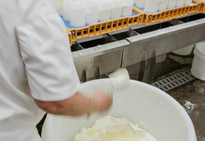 The making of our cheeses