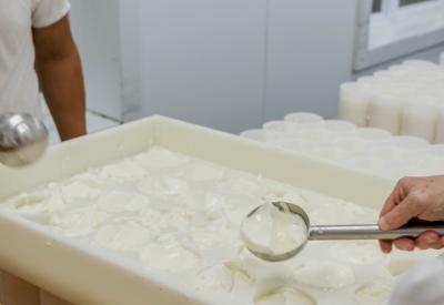 The making of our cheeses