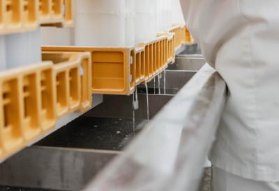 The making of our cheeses