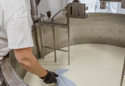 The making of our cheeses
