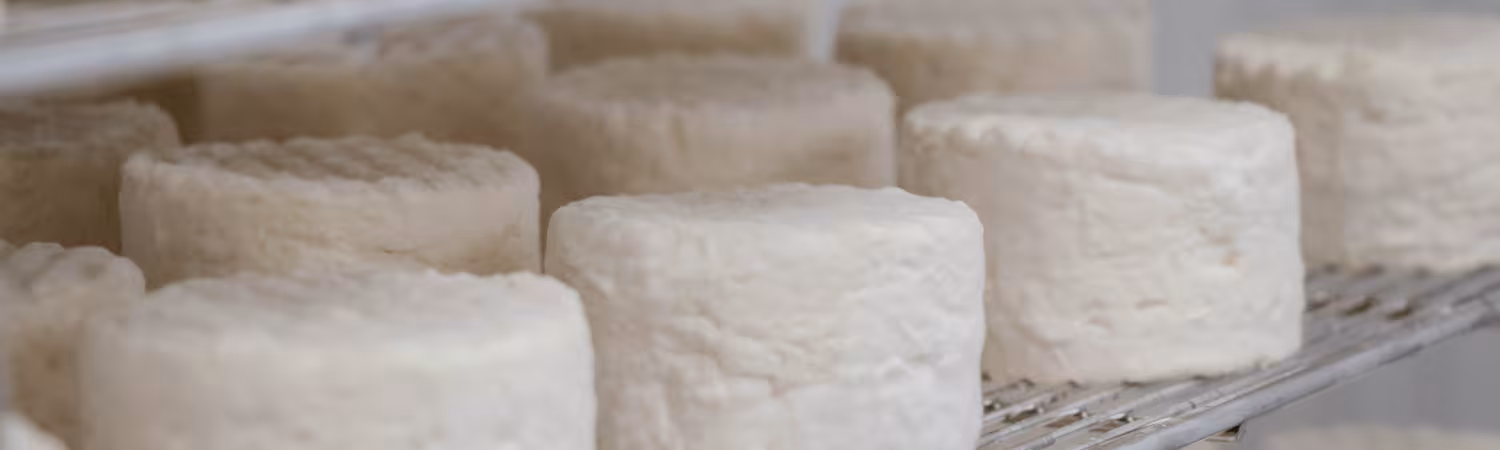 La fabrication de nos fromages