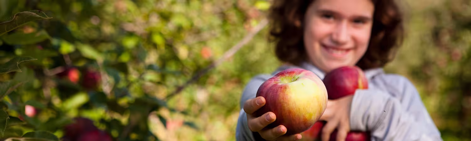 Au coeur de la pomme