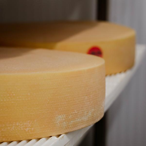 Raclette des Colombettes